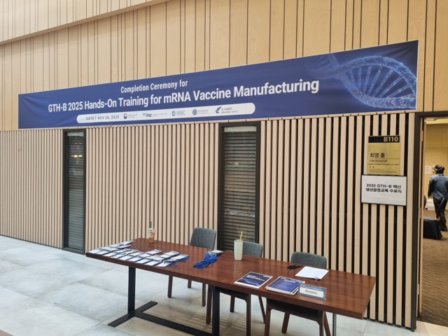 하이브리드 행사 대행